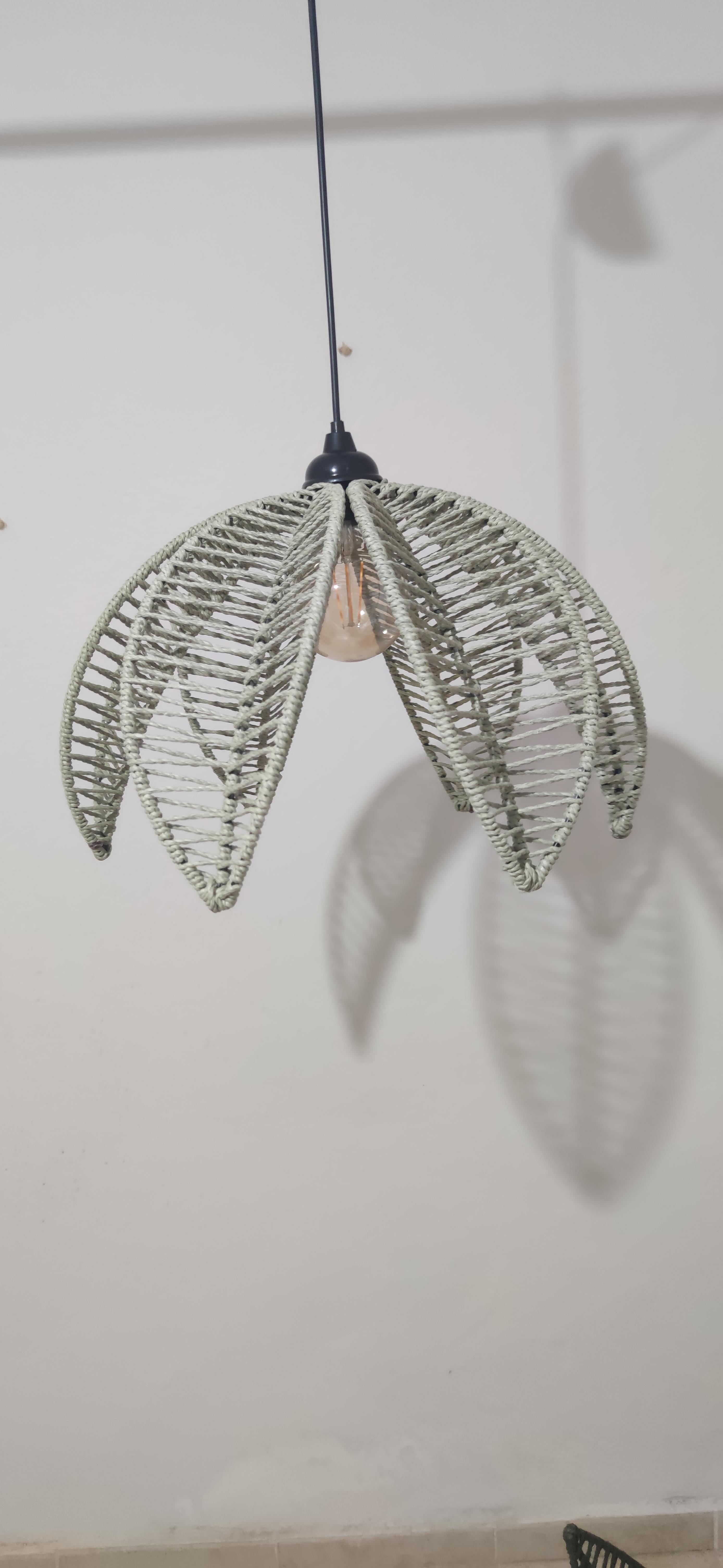 LOTUS ( KÜF YEŞİLİ )